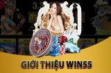 Mẹo Chơi Game Win55: Tăng Cơ Hội Thắng Lớn